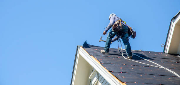 Best Storm Damage Roof Repair  in Paoli, IN